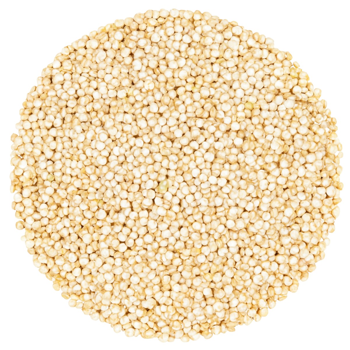 Quinoa komosa ryżowa biała